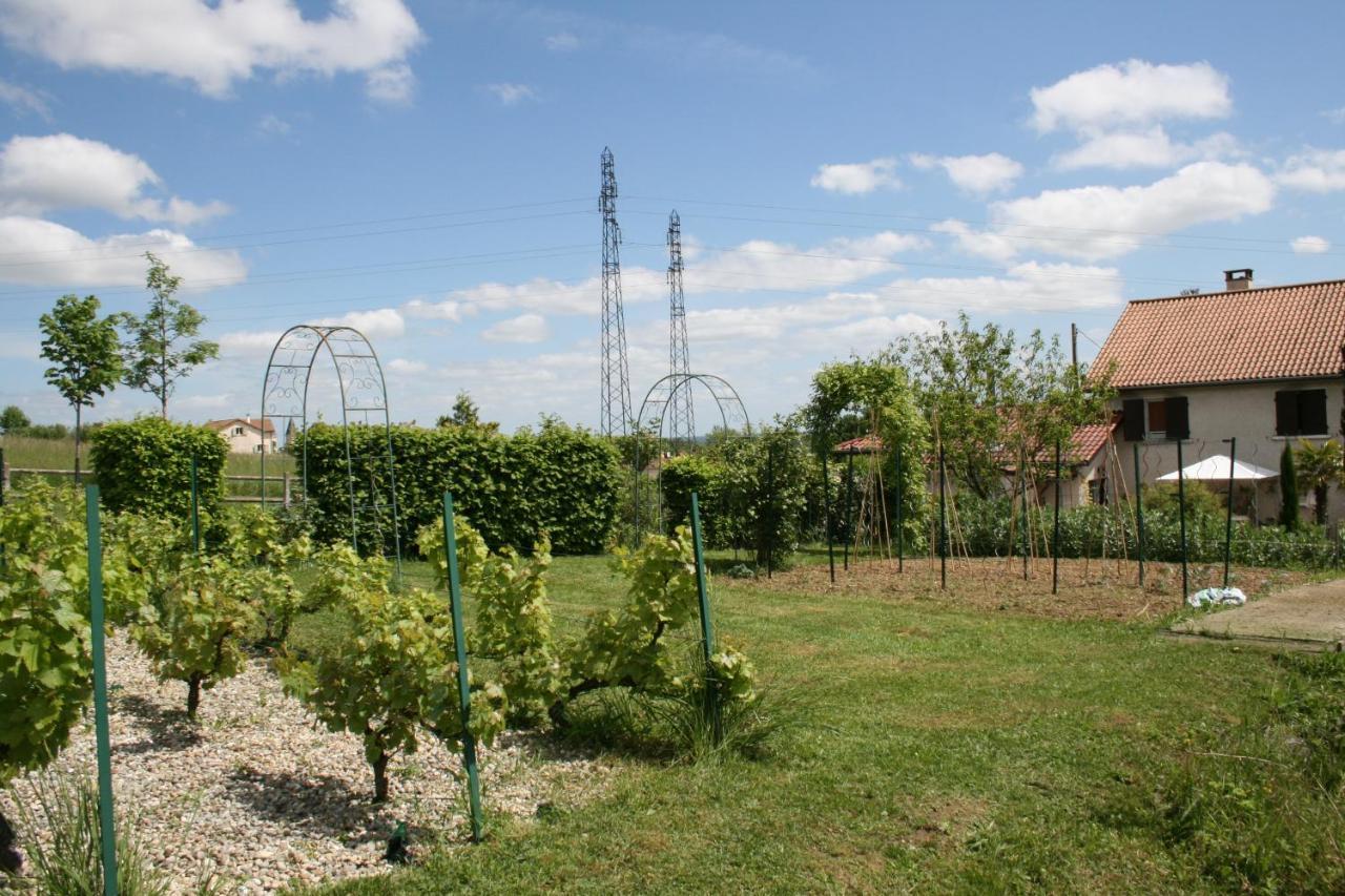 1 Bedroom House 20Min Walk To Centre In Tournus Zewnętrze zdjęcie